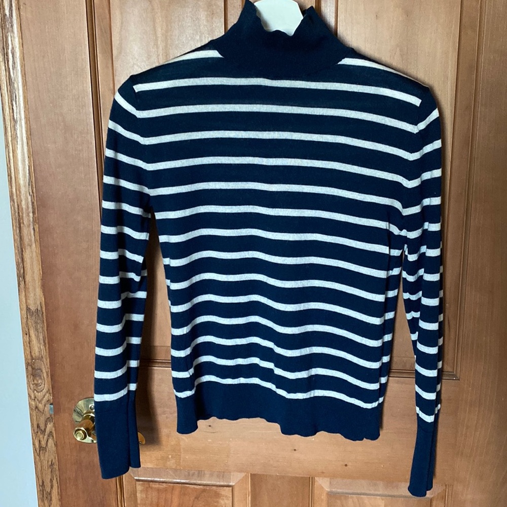Banana Republic Navy and White Striped Turtleneck Sweater